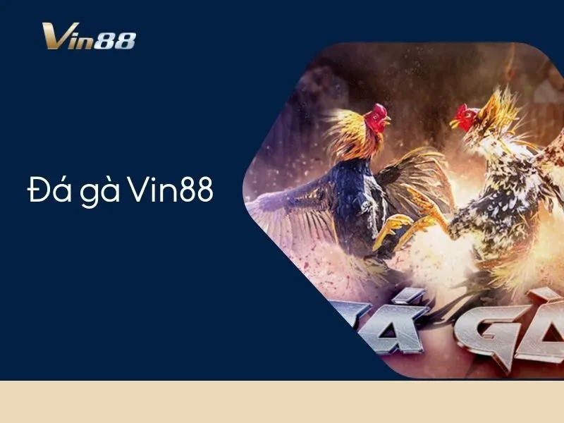 Đá gà Vin88